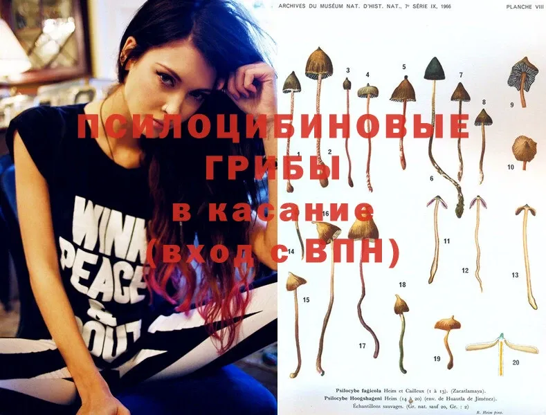 Галлюциногенные грибы MAGIC MUSHROOMS  Верхнеуральск 